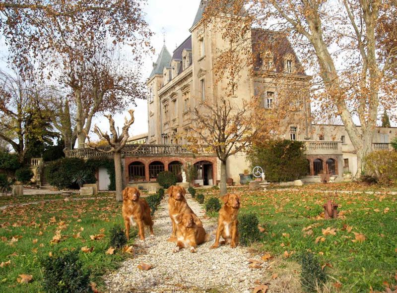Le Mogador Chateau Du Martinet Violès Exterior foto